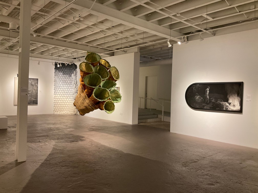 An art gallery with a hanging sculpture made of woven materials and green elements, black-and-white photographs on the walls, and a textured wall piece in the background under warm lighting.